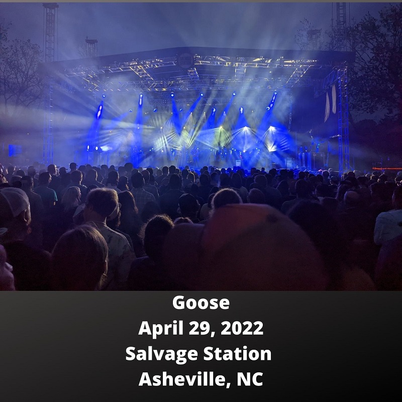 Goose2022-04-29SalvageStationAshevilleNC.jpg