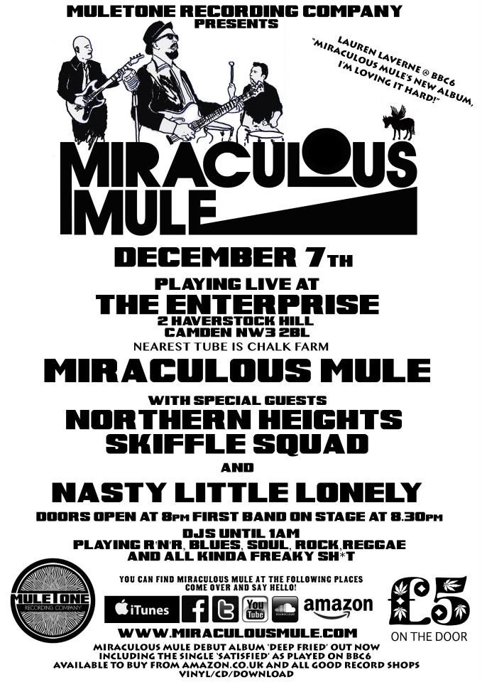 MiraculousMule2013-12-07TheEnterpriseCamdenLondonUK.jpg