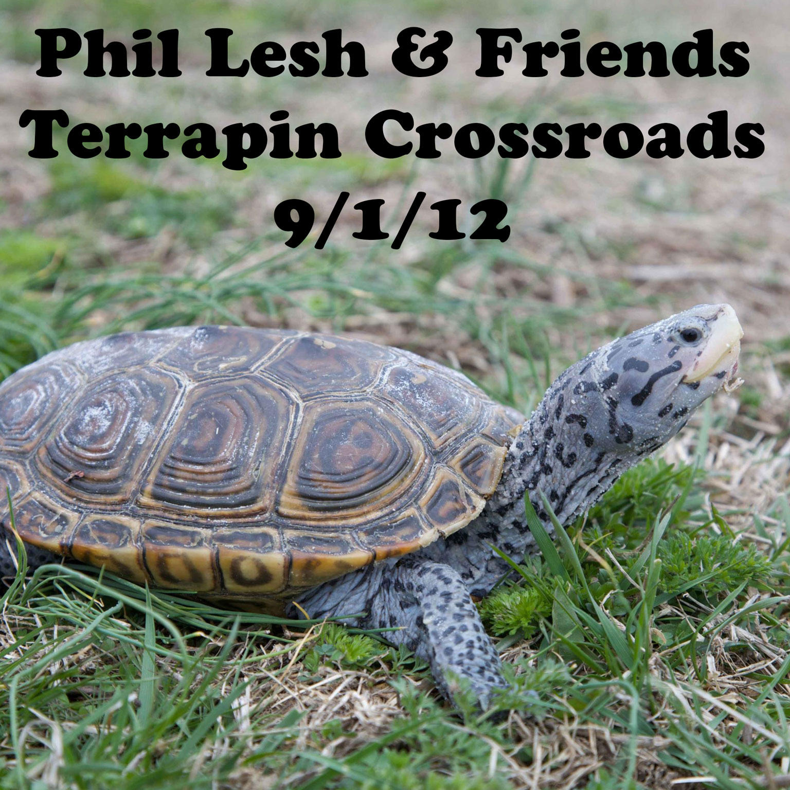 Phil2012-09-01TerrapinCrossroadsSanRafaelCA.jpg