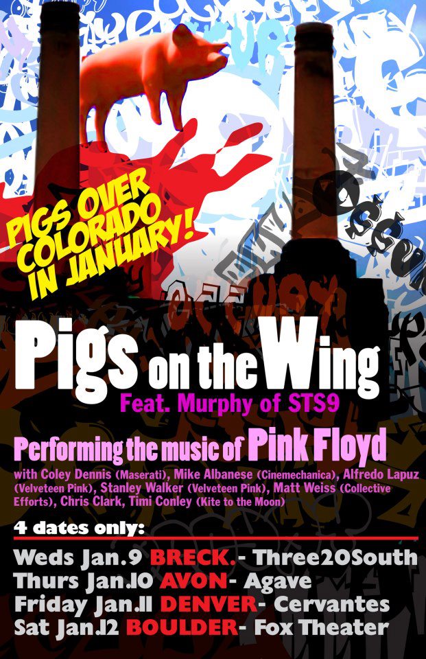 PigsOnTheWingDavidMurphy2013-01-12FoxTheatreBoulderCO.jpg