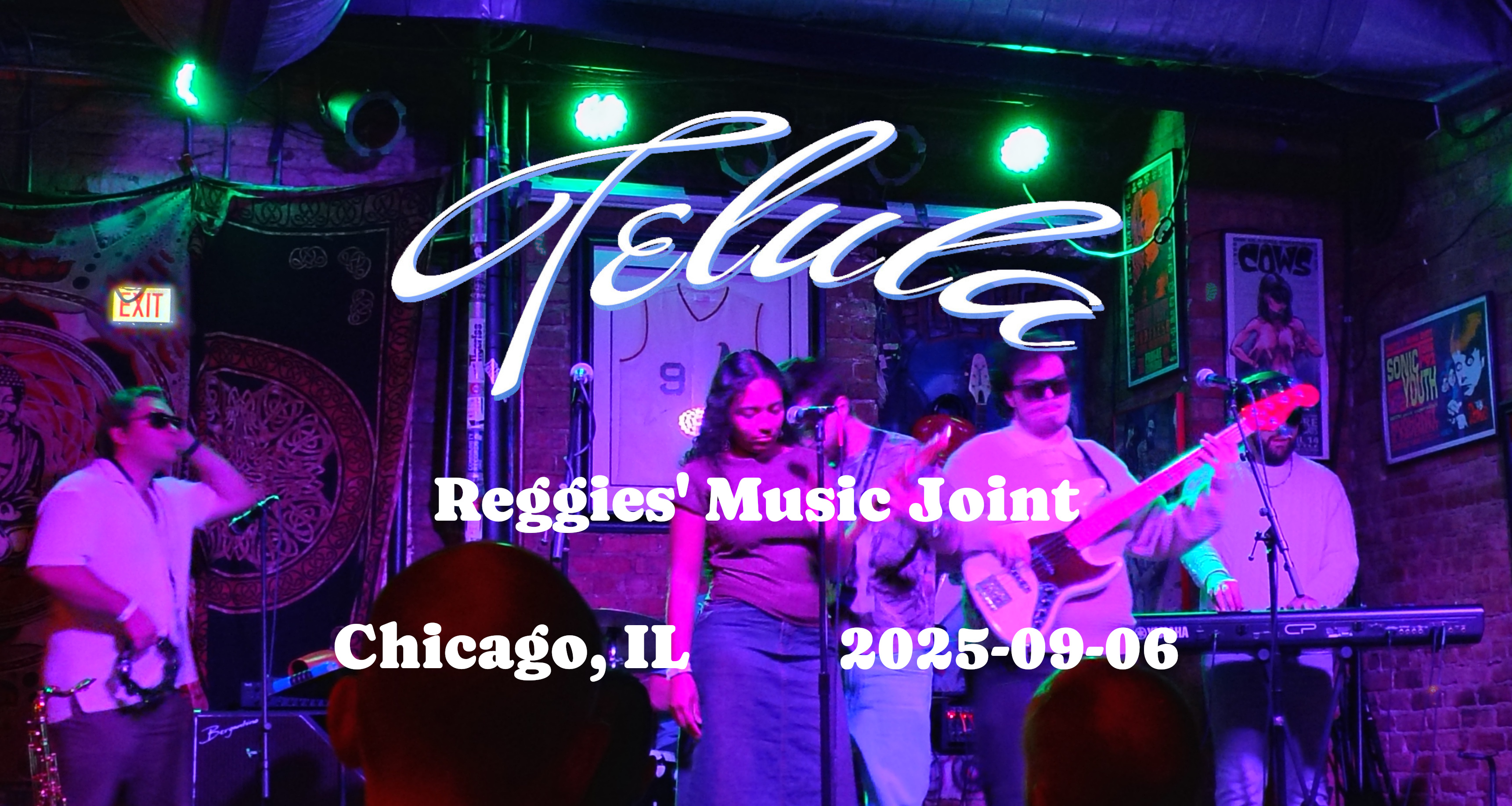 Telula2025-09-06ReggiesMusicJointChicagoIL.jpg